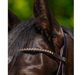 Frontalera Waldhausen X-Line Glam | Varios colores