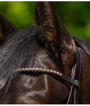 Frontalera Waldhausen X-Line Glam | Varios colores