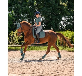 Mantilla Trinidad | Varios colores