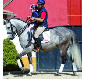 Asiento Adaptador de Silla para Niños