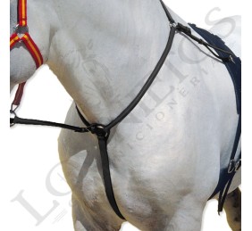 Pechopetral cruz inglés Kamell