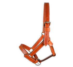 Cabezada de cuadra 'Los Nietos' | Avellana