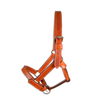 Cabezada de cuadra 'Los Nietos' | Avellana