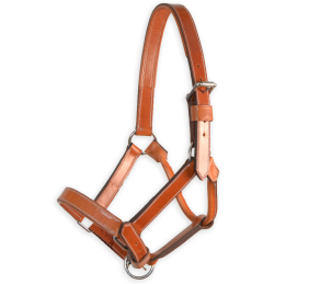 Cabezada de cuadra 'Los Nietos' | Avellana