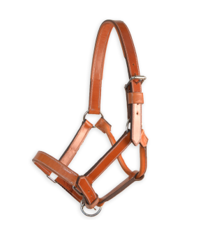 Cabezada de cuadra 'Los Nietos' | Avellana