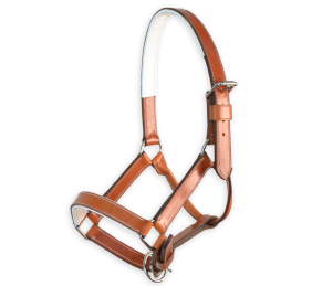 Cabezada de cuadra 'Los Nietos' | Avellana y Blanco