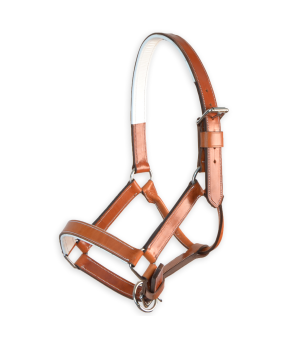 Cabezada de cuadra 'Los Nietos' | Avellana y Blanco