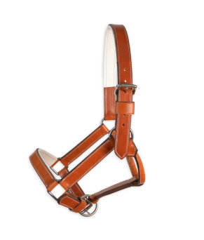 Cabezada de cuadra 'Los Nietos' | Avellana y Blanco