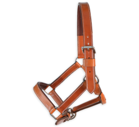 Cabezada de cuadra 'Los Nietos' | Avellana y marrón