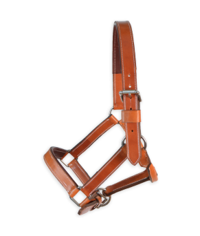 Cabezada de cuadra 'Los Nietos' | Avellana y marrón