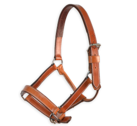 Cabezada de cuadra 'Los Nietos' | Avellana y marrón