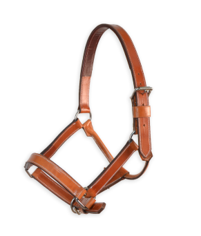 Cabezada de cuadra 'Los Nietos' | Avellana y marrón