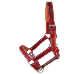 Cabezada de cuadra 'Los Nietos' | Cereza y avellana