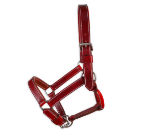 Cabezada de cuadra 'Los Nietos' | Cereza