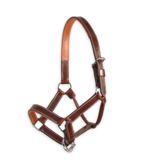 Cabezada de cuadra 'Los Nietos' | Marrón y avellana