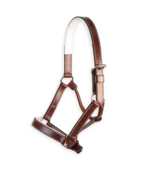 Cabezada de cuadra 'Los Nietos' | Marrón y blanco