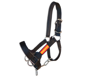 Cabezada cuadra nylon extra "Los Nietos Dressage" | Varios colores
