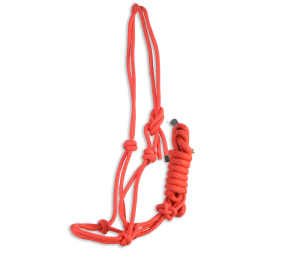 Cabezada de cuerda Eco 'Los Nietos Dressage'