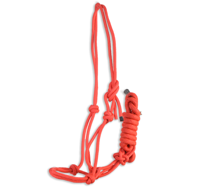 Cabezada de cuerda Eco 'Los Nietos Dressage'