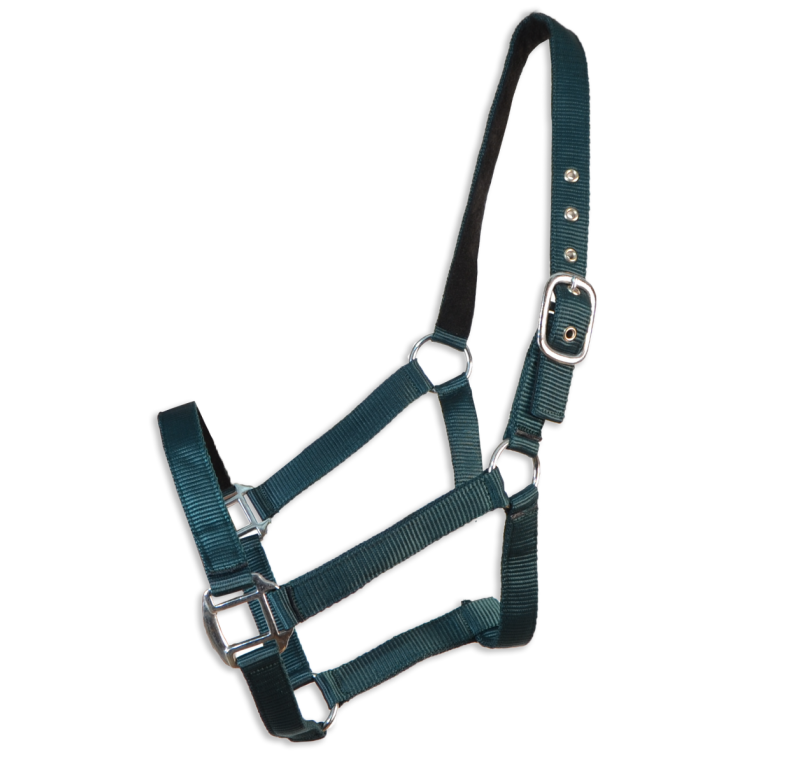 Cabezada cuadra Eco "Los Nietos Dressage"| Varios colores