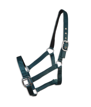 Cabezada cuadra Eco "Los Nietos Dressage"| Varios colores