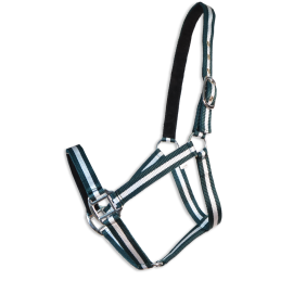 Cabezada cuadra Eco "Los Nietos Dressage"| Varios colores