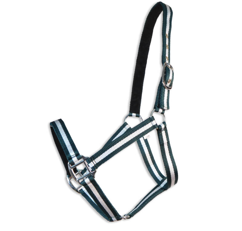 Cabezada cuadra Eco "Los Nietos Dressage"| Varios colores