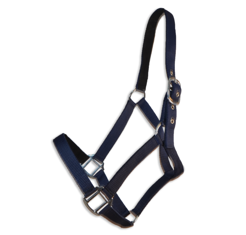 Cabezada cuadra Eco "Los Nietos Dressage"| Varios colores