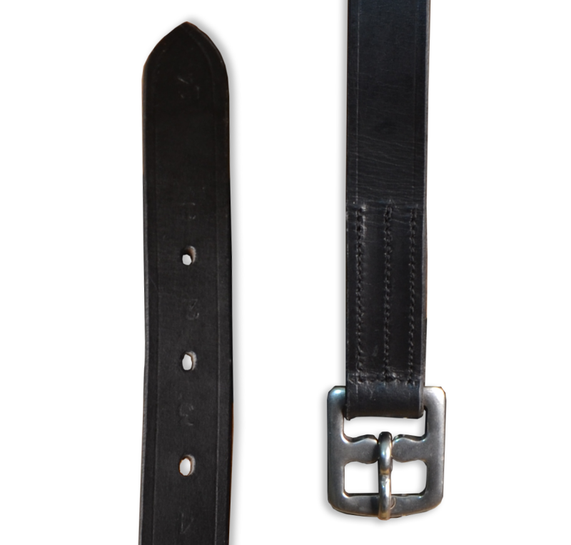 Aciones inglesas Eco 'Los Nietos Dressage'