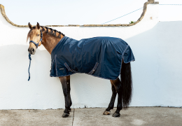 Cómo elegir la manta adecuada para tu caballo: Guía completa 2026