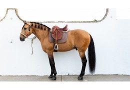 Guía de tallas: ¿Cómo elegir la medida de montura ideal para ti y tu caballo?