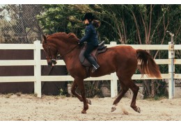 El arte de llevar las riendas: guía de agarre y técnica