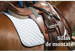 Partes de la montura de un caballo: anatomía y sus funciones